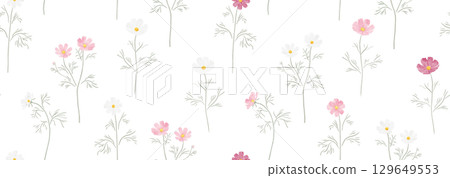 Seamless pattern of three-colored cosmos flowers in watercolor style 129649553