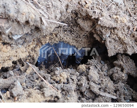 Frost in the soil Frost in the soil 129650094