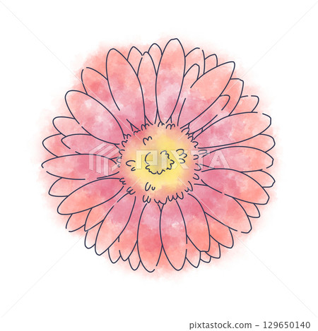 紅色非洲菊水彩素材 紅色非洲菊水彩素材 129650140