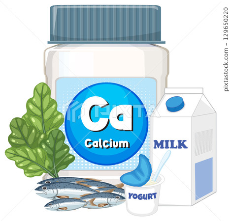 Calcium Sources Including Dairy, Leafy Greens, and Fish 129650220