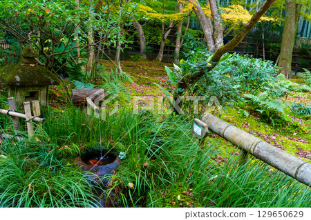 Tsukubai at Gionji Temple in Sagano, Kyoto 129650629