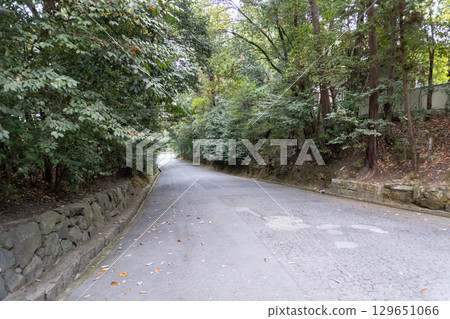 Scenery of the Kyoto Loop Trail and its surroundings 129651066