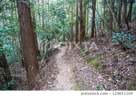 京都環線步道及其周邊的風景 129651104