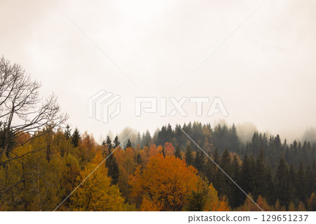 Fog in autumn mountains. Foggy day in autumn forest. Amazing autumn forest with vibrant colours foliage. Autumnal misty landscape. Carpathian mountains landscape, Ukraine. November landscape. 129651237