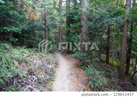 京都環線步道及其周邊的風景 129651457