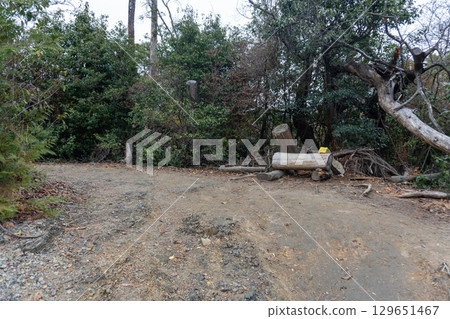 Scenery of the Kyoto Loop Trail and its surroundings 129651467