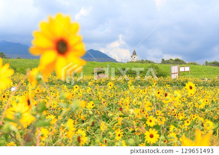 Heidi's Village as seen from the Akeno Sunflower Fields, Hokuto City, Yamanashi Prefecture 129651493