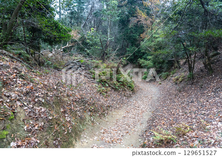 Scenery of the Kyoto Loop Trail and its surroundings 129651527