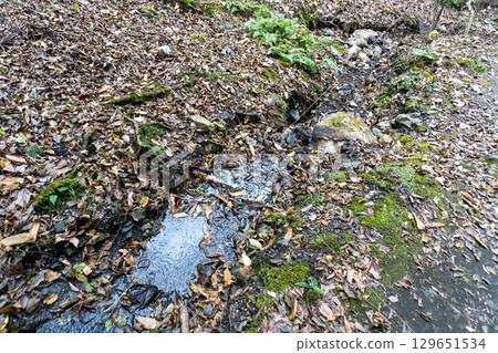 Scenery of the Kyoto Loop Trail and its surroundings 129651534
