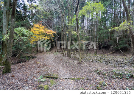 Scenery of the Kyoto Loop Trail and its surroundings 129651535