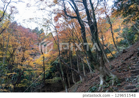 京都環線步道及其周邊的風景 129651548