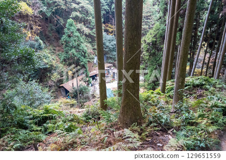 京都環線步道及其周邊的風景 京都環線步道及其周邊的風景 129651559