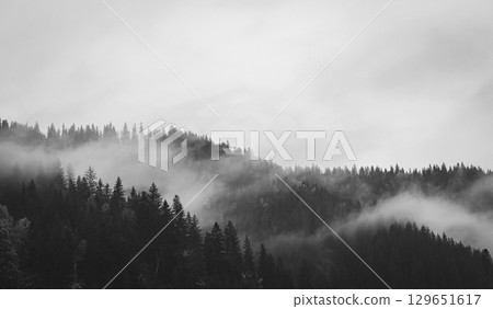 Fog in autumn mountains, black and white. Foggy day in autumn forest, monochrome. Amazing autumn forest panorama view. Autumnal misty landscape. Carpathian mountains landscape, Ukraine.  129651617
