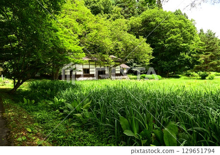 Takamura Sanso Takamura Sanso 129651794