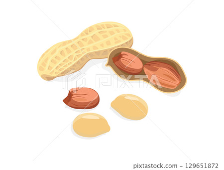 Whole and peeled peanuts isolated on white background stock illustration 129651872