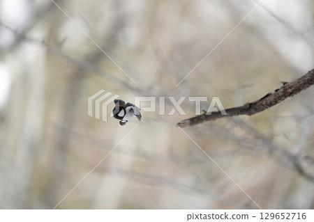 與α9Ⅲ一起拍攝多款胸部寫真 129652716