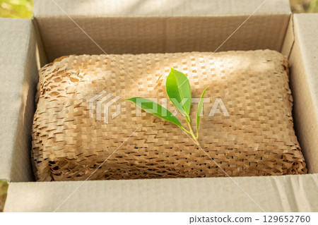 Green leaf on eco friendly brown paper honeycomb wrap for product packaging parcel carton box Green leaf on eco friendly brown paper honeycomb wrap for product packaging parcel carton box 129652760