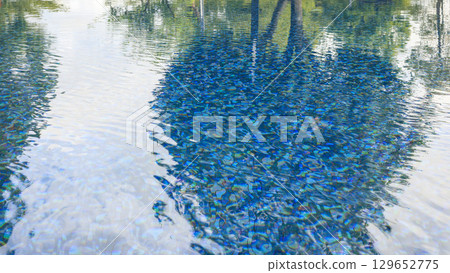Swimming pool water surface and ripple wave with blue mosaic tiles Swimming pool water surface and ripple wave with blue mosaic tiles 129652775