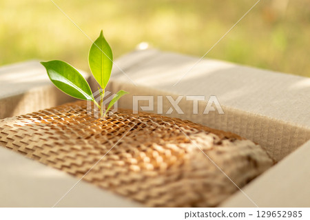 Green leaf on eco friendly brown paper honeycomb wrap for product packaging parcel carton box Green leaf on eco friendly brown paper honeycomb wrap for product packaging parcel carton box 129652985