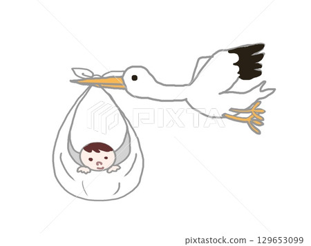 鸛用布叼著嬰兒 129653099