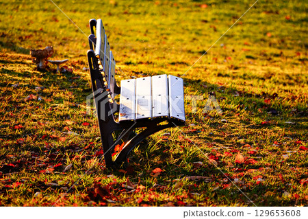 A lonely bench in a park in late autumn in Hokkaido 129653608