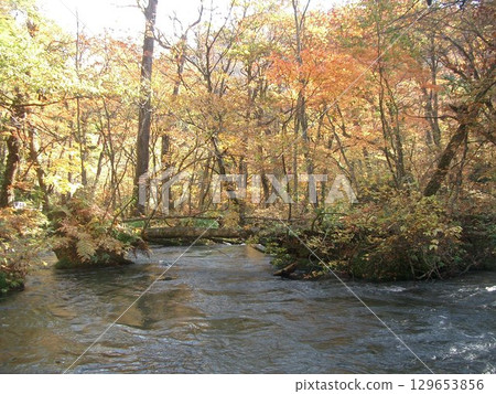 清除流 清除流 129653856