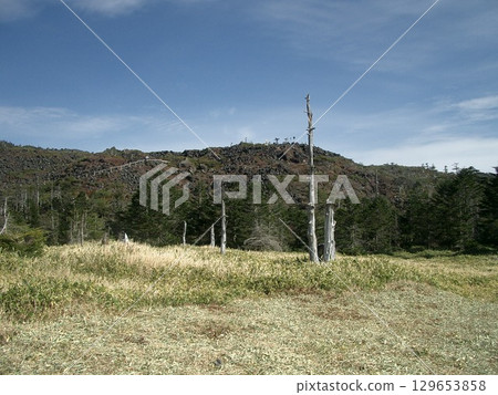 一定的風景 一定的風景 129653858