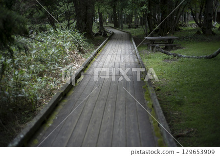 Summer in Oku-Nikko: Boardwalk on the Lake Yunoko Promenade 129653909