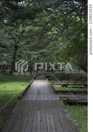 Summer in Oku-Nikko: Boardwalk on the Lake Yunoko Promenade 129653910
