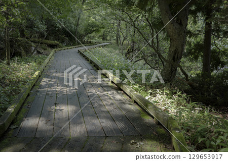 歐日光之夏:湯之湖散步道的木棧道 歐日光之夏:湯之湖散步道的木棧道 129653917