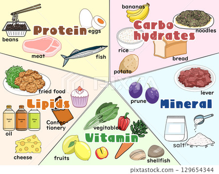 Illustration of the five major nutrients (with English text) (square) 129654344