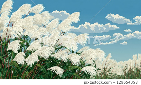 一簇簇紫芒在藍天下搖曳 129654358