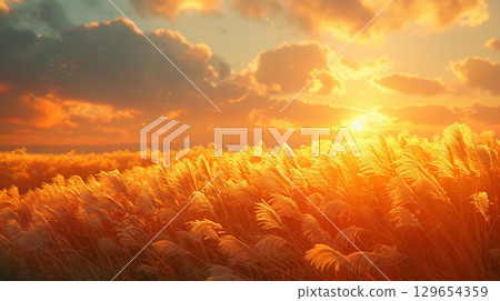 發光在落日的日本蒲葦草草甸 129654359