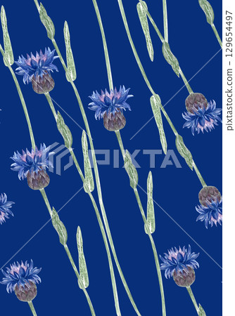 Knapweed on long green stems seamless watercolor pattern on dark blue background. Hand-painted blue wildflowers in diagonal layout. Ideal for textiles, packaging, wallpaper, rustic-themed designs 129654497