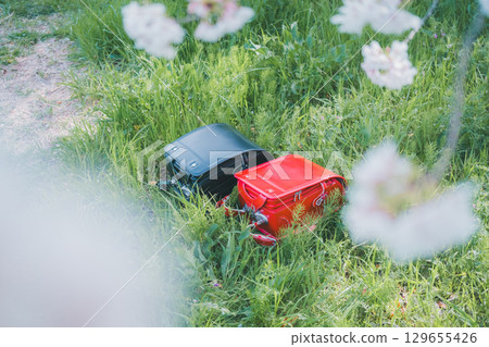 書包與櫻花 129655426