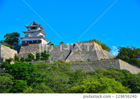 丸龜城堡 129656240