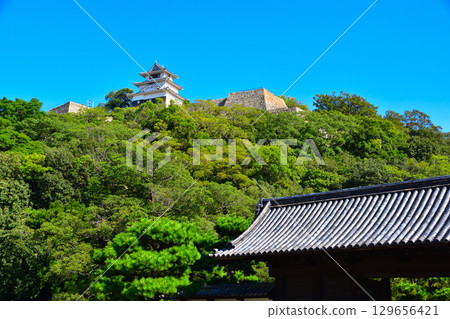 丸龜城堡城堡塔樓，前門 129656421