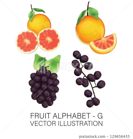 3D Fruit Alphabet G: Realistic Grapefruit and Grape Illustration with Transparent Background 3D Fruit Alphabet G: Realistic Grapefruit and Grape Illustration with Transparent Background 129656435