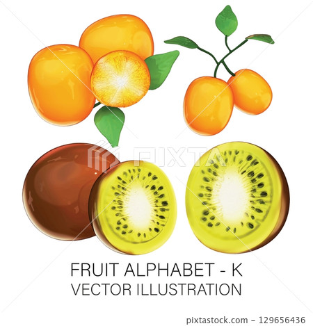 3D Fruit Alphabet K: Realistic Kumquat and Kiwi Illustration with Transparent Background 129656436