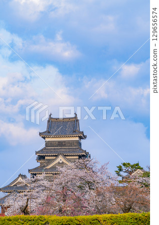 [長野縣]國寶松本城：櫻花季 129656574