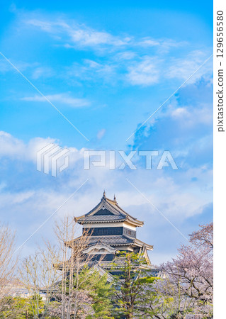 [長野縣]國寶松本城：櫻花季 129656580