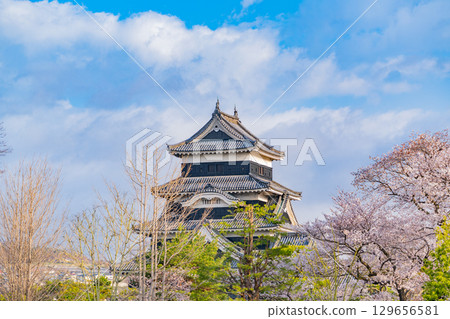 [長野縣]國寶松本城：櫻花季 129656581