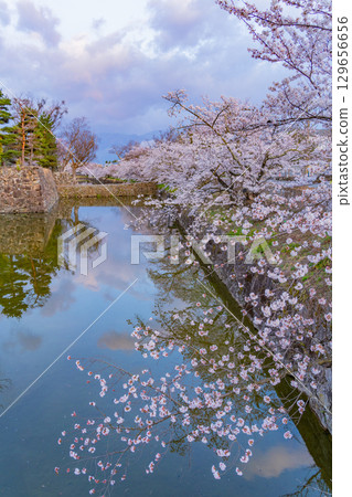 [長野縣]國寶松本城～護城河畔的櫻花 129656656