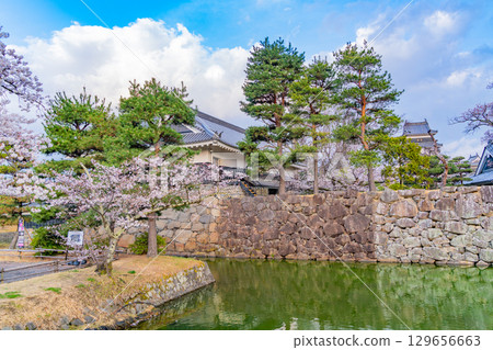 [長野縣]國寶松本城～護城河畔的櫻花 129656663