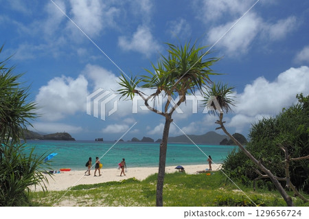座間味島海女海灘的夏日風景 座間味島海女海灘的夏日風景 129656724