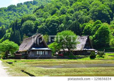 富山縣五箇山市菅沼合掌造村 富山縣五箇山市菅沼合掌造村 129656834