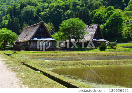 富山縣五箇山市菅沼合掌造村 129656931