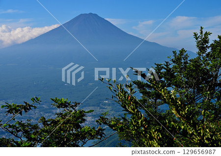 Mount Fuji in summer as seen from Mount Kurodake in the Misaka Mountains 129656987