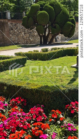 Manicured garden with vibrant red and pink flowers, geometric hedges, and sculpted tree in bright sunlight. The image illustrates classic landscape design, urban nature, and outdoor relaxation Manicured garden with vibrant red and pink flowers, geometric hedges, and sculpted tree in bright sunlight. The image illustrates classic landscape design, urban nature, and outdoor relaxation 129657218