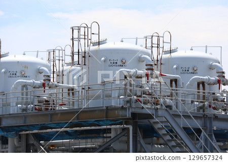 植物（八景島海島樂園） 129657324